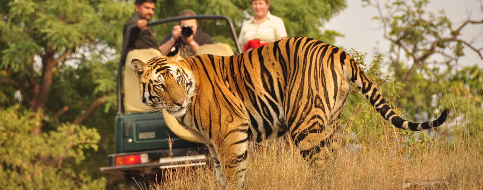 Best Luxury Tour Operators